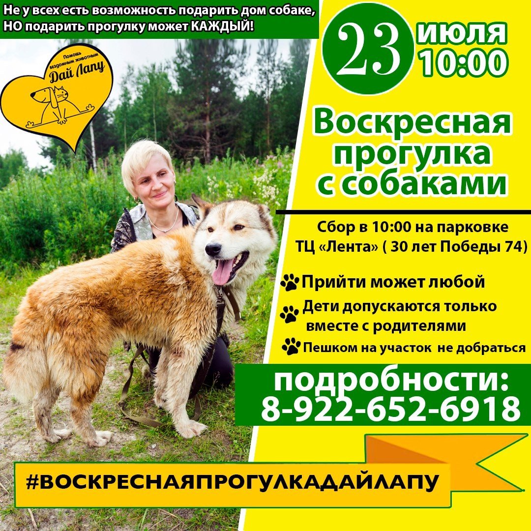 Дай лапу Сургут